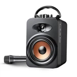 Mikrofon bilan ko'chma karaoke karaoke